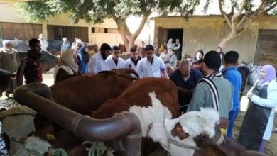 فاروق: إعطاء أكثر من 6.6 مليون جرعة ضد مرضى الحمي القلاعية خلال الحملة القومية الثانية في إطار مبادرة "حياة كريمة"