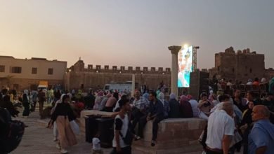 بالصور... توافد جمهور مهرجان القلعة على حفل حمزة نمرة وعمرو سليم