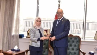 وزير العمل يلتقي سفيرة مملكة البحرين في القاهرة