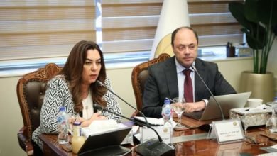 وزيرة التنمية المحلية تتابع مع المحافظين موقف عدد من المشروعات المتعثرة على أرض المحافظات لسرعة دخولها الخدمة 