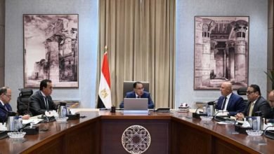 رئيس الوزراء يتابع جهود دعم صناعة الدواء