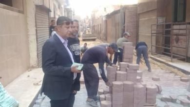  محافظ الشرقية يُتابع معدلات أداء تركيب بلاط الإنترلوك بالشوارع المتفرعة من شارع فاروق ومنطقة الحسينية بمدينة الزقازيق    