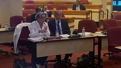وزيرة البيئة تشارك في اجتماع مجلس إدارة المبادرة الأفريقية للطاقة المتجددة 