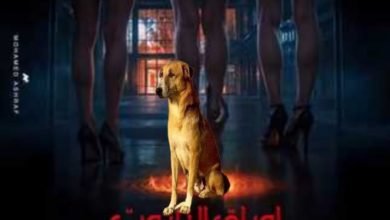 رانيا يوسف: "إشمعنى كلب الهرم يتكرم وكلب فيلم" أوراق التاروت "محدش عايز يكرمه؟
