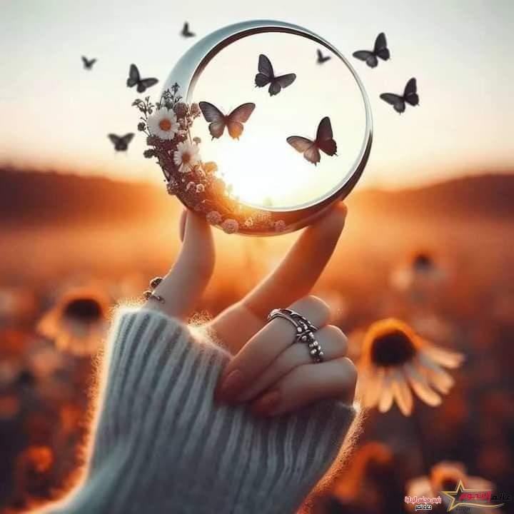 السماح بالرحيل... بقلم: د.عبير منطاش 