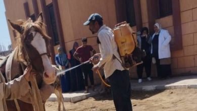 بيطري الشرقية… يُنظم قافلة طبية علاجية بيطرية شاملة بالمجان بقرية الزنكلون التابعة لمركز الزقازيق