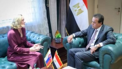 نائب رئيس مجلس الوزراء وزير الصحة يستقبل سفيرة دولة سلوفاكيا لبحث سبل التعاون