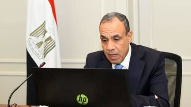وزير الخارجية والهجرة وشئون المصريين بالخارج يعقد لقاء افتراضياً مع ممثلي الجالية المصرية في قطر