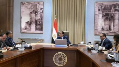 رئيس الوزراء يلتقي الدكتور زياد بهاء الدين لمناقشة عدد من الملفات الاقتصادية