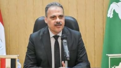 محافظ الشرقية يأمر بإزالة فورية في المهد لسور مُقام بالمخالفة على مساحة 12 قيراط بقرية الطلاخوة بفاقوس  