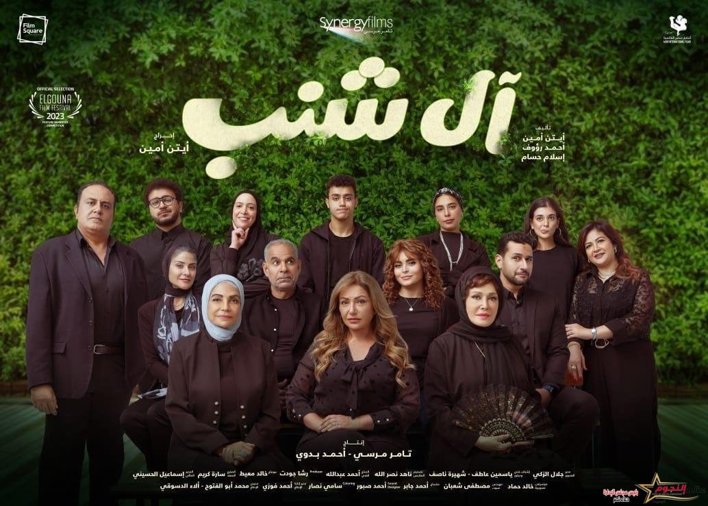 أفلام المهرجانات السينمائية تتجه لدور العرض في أكتوبر ونوفمبر