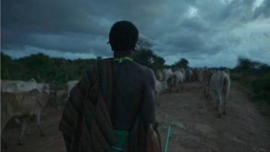 "الصراع لأجل لايكيبيا" يحصل على جائزة نجمة الجونة الخضراء