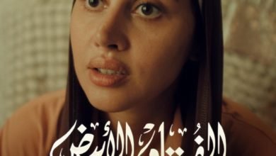 ياسمين رئيس في السينما والتليفزيون خلال شهر نوفمبر الجاري