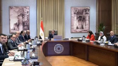 رئيس الوزراء يستعرض مع وزير الكهرباء موقف مشروعات الطاقة الجديدة والمتجددة طبقاً لرؤية 2040