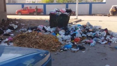 محافظ الإسكندرية يوجه بسرعة الاستجابة لشكاوى المواطنين الخاصة برفع كفاءة منظومة النظافة 