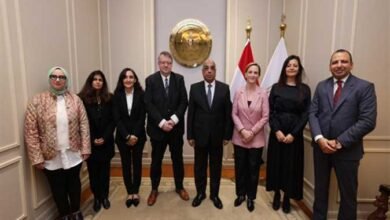 وزير العدل يستقبل مدير مكتب منظمة العمل الدولية بالقاهرة