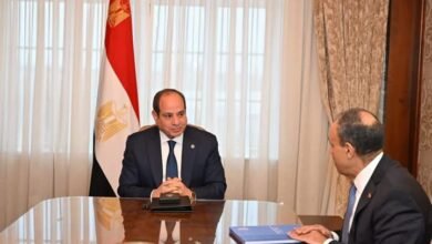 الرئيس السيسي يجتمع اليوم مع وزير الخارجية والهجرة وشئون المصريين بالخارج