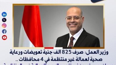 وزير العمل: صرف 825 الف جنية تعويضات ورعاية صحية لعمالة غير منتظمة في 4 محافظات 