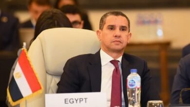 وزير الخارجية يترأس الاجتماع الوزاري الحادى والعشرين لمنظمة الدول الثماني النامية للتعاون الاقتصادي