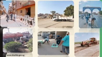 حصاد إنجازات مركز ومدينة الحسينية خلال عام 2024