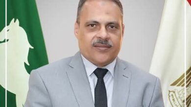 محافظ الشرقية يُهنئ فخامة رئيس الجمهورية بالعام الميلادي الجديد 2025م