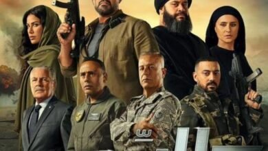 عام من التميز والتنوع في السينما المصرية والعربية