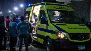 إصابة 5 بينهما سيدتين فى مشاجرة بين عائلتين بالدقهلية