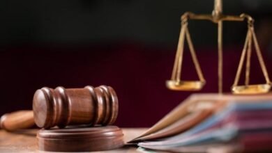 غدًا.. محاكمة قاتل والدته في مصر القديمة