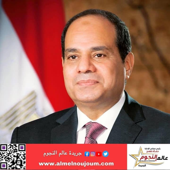 السيسي بين تحديات البناء والتنمية ودعائم قوة مصر لحفظ الأمن الإقليمي وصد مخططات التقسيم 2 السيسي بين تحديات البناء والتنمية ودعائم قوة مصر لحفظ الأمن الإقليمي وصد مخططات التقسيم