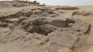 اكتشافات جديدة بسقارة تكشف عن المزيد من أسرار تاريخ المنطقة