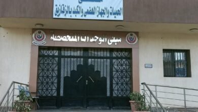 الصحة: تقديم 17.2 مليون خدمة طبية بمحافظة الشرقية خلال عام 2024