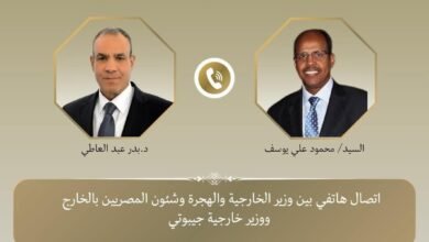 وزير الخارجية يجري اتصال هاتفي مع نظيره الجيبوتي لبحث سبل تعزيز العلاقات الثنائية بين البلدين