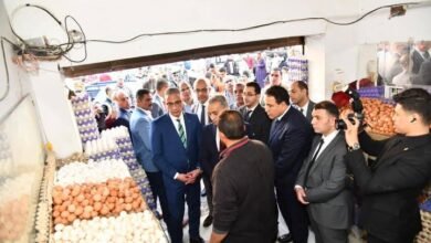 انطلاق الحملات الرقابية على المحال التجارية ومنافذ بيع السلع الغذائية بمحافظة الفيوم