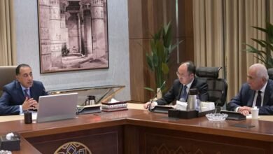 رئيس الوزراء يلتقي رئيس أكبر شركة صينية لتصنيع إطارات السيارات لبحث إقامة مشروعين جديدين في مصر