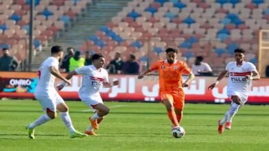 الفارس الأبيض يعبر من السماد في كأس مصر