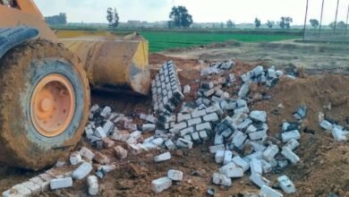 محافظ الإسكندرية يوجه بتنفيذ حملات مُكبرة لإزالة التعديات وإيقاف أعمال البناء المخالف بأحياء الثغر