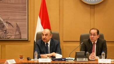 وزيرا قطاع الأعمال العام والمالية يبحثان تعزيز التعاون في الملفات المشتركة وفض التشابكات المالية  