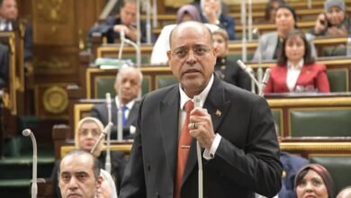 وزير العمل أمام "النواب" : الحكومة حريصة على "قانون عمل" يُراعي معايير العمل الدولية 