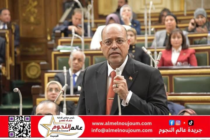 وزير العمل أمام "النواب" : الحكومة حريصة على "قانون عمل" يُراعي معايير العمل الدولية 