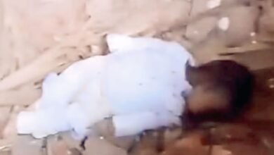 العثور على جثة رضيع في مقابر عزبة البرج.. تفاصيل صادمة واعترافات المتهمات