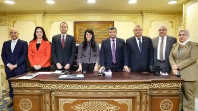 المشاط تستعرض مع اللجنة الاقتصادية بمجلس النواب منفذات خطة التنمية للعام المالي 2024/2023  