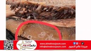 كيف تميّز فساد الفسيخ والرنجة.. 9 علامات لا تغفلها 2 كيف تميّز فساد الفسيخ والرنجة.. 9 علامات لا تغفلها