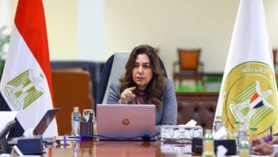 وزيرة التنمية المحلية تقرر إقالة سكرتير عام محافظة سوهاج بعد التحقيق في واقعة المشادة التي حدثت مع نائب محافظ سوهاج
