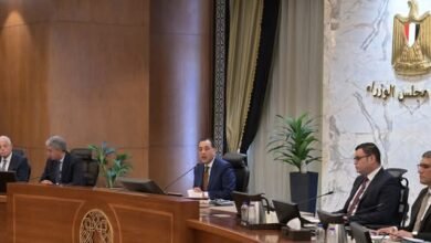 رئيس الوزراء يتابع الموقف التنفيذي للأعمال بالمنطقة الأثرية بالأهرامات 