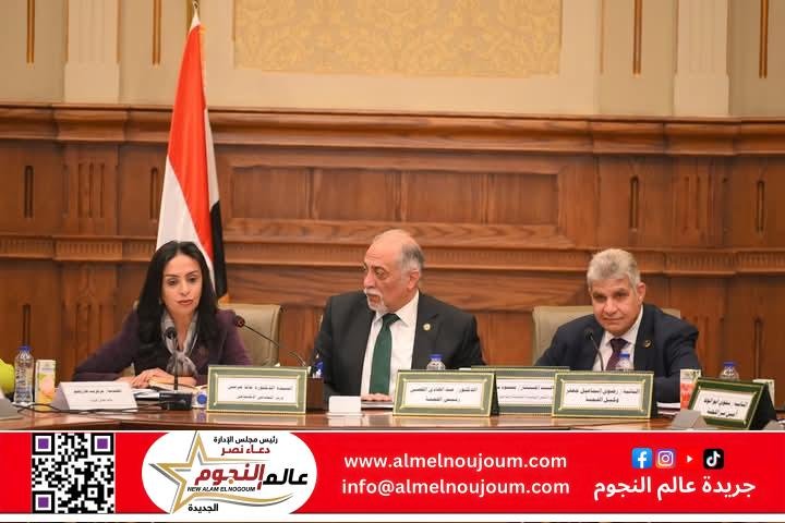 مرسي تشارك في اجتماع لجنة التضامن الاجتماعي والأسرة والأشخاص ذوي الإعاقة بمجلس النواب 