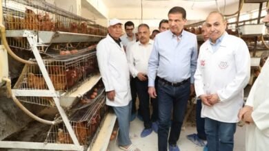 وزير الزراعة ومحافظ الشرقية يتفقدان مشروعات التعاون والإصلاح الزراعي بالمحافظة