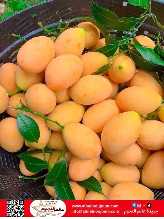 أسعار الفاكهة بالأسواق اليوم الأحد 13 أبريل 2025