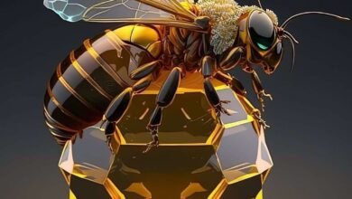 العسل: كنز طبيعي لصحة الجسم وعلاج من قلب الطبيعة