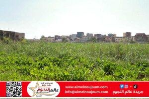 وزير الزراعة ومحافظ الإسكندرية يبحثان التعاون في رفع كافة الاصول تنفيذا لتكليفات القيادة السياسية