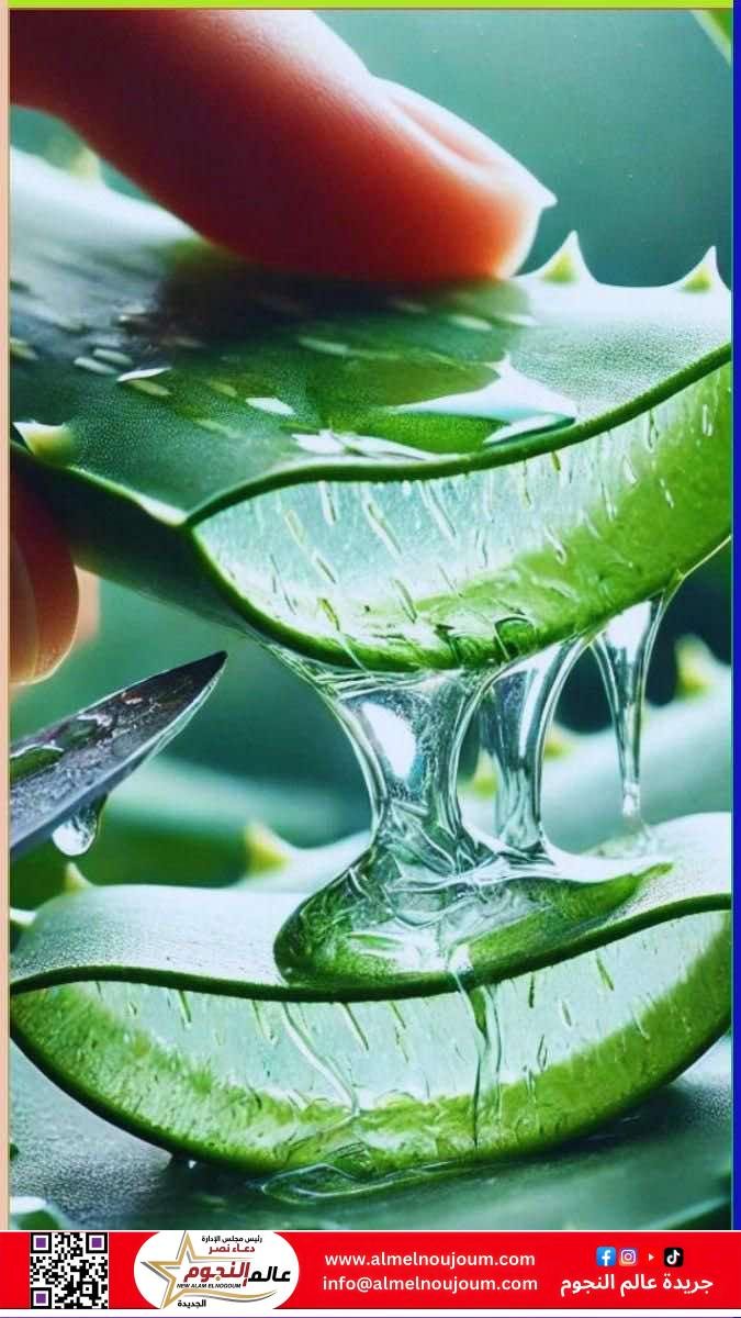 لن تصدق ماذا يفعل الصبار بجسمك وبشرتك